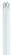 Light Bulb in White (230|S8421TF)