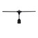 LED String Light in Black (230|S8039)