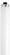 Light Bulb in White (230|S6450)