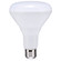Light Bulb in Frost (230|S39628)