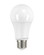 Light Bulb in Frost (230|S29558)