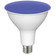 Light Bulb in Blue (230|S29482)