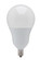 Light Bulb in Frost (230|S21804)