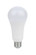 Light Bulb in Frost (230|S11329)
