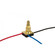 Rotary Switch in Brass Plated (230|90504)