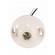 Phenolic Ceiling Receptacle in White (230|901502)