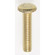Head Thumb Screw in Brass Plated (230|90059)
