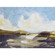 Argyle Ii Canvas in Clear Gel Coat (443|PA0025)