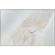Dimona Canvas Art in Champagne Silver (443|OL2123)