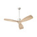 Lurus 64''Ceiling Fan in Satin Nickel (19|3064365)