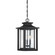 Wakefield Three Light Outdoor Hanging Lantern in Earth Black (10|WKF1911EK)