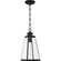Paxton One Light Outdoor Hanging Lantern in Matte Black (10|PAX1907MBK)