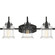 Danbury Three Light Bath Fixture in Earth Black (10|DNY8603EK)