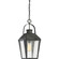 Carriage One Light Outdoor Hanging Lantern in Mottled Black (10|CRG1910MB)