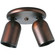 Directional Two Light Wall/Ceiling Fixture in Urban Bronze (54|P6149174)