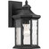 Edition One Light Wall Lantern in Black (54|P607131)