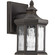 Edition One Light Wall Lantern in Antique Bronze (54|P607020)