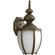 Roman Coach One Light Wall Lantern in Antique Bronze (54|P577020MD)