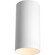 Cylinder One Light Outdoor Ceiling Mount in White (54|P574130)