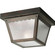 Ceiling Mount One Light Outdoor Flush Mount in Antique Bronze (54|P572720)