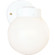 Utility Lantern One Light Wall Lantern in White (54|P560430)