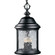 Ashmore Three Light Hanging Lantern in Textured Black (54|P555031)