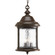 Ashmore Three Light Hanging Lantern in Antique Bronze (54|P555020)