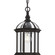 Dillard One Light Outdoor Hanging Lantern in Antique Bronze (54|P550122020)