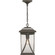 Abbott One Light Hanging Lantern in Antique Bronze (54|P550040020)