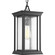Endicott One Light Hanging Lantern in Black (54|P550031)