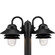 Newport Two Light Post Lantern in Textured Black (54|P549331)