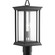 Endicott One Light Post Lantern in Black (54|P540031)