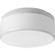 Maier Dc Led LED Flush Mount in White (54|P35007603030)