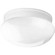 Fitter Two Light Flush Mount in White (54|P341030)