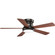 Vox 52''Ceiling Fan in Antique Bronze (54|P25722030K)