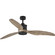 Farris 60'' Ceiling Fan in Graphite (54|P25000214330)