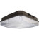 LED Canopy Fixture in Bronze (72|65144)