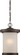 Diego LED Outdoor Hanging Lantern in Mahogany Bronze (72|62645)