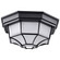 LED Spider Cage Fixture in Black (72|621400)