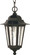 Cornerstone One Light Hanging Lantern in Textured Black (72|60993)