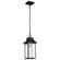 Austen One Light Outdoor Hanging Lantern in Matte Black (72|605996)