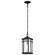 Raiden One Light Outdoor Hanging Lantern in Matte Black (72|605759)