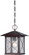 Vega One Light Hanging Lantern in Classic Bronze (72|605614)