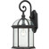 Boxwood One Light Wall Lantern in Textured Black (72|604966)