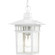 Cove Neck One Light Hanging Lantern in White (72|604954)