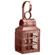 Lynn One Light Wall Mount in Antique Copper (196|8131ACCIMCLR)