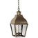 Stanfield Two Light Hanging Lantern in Dark Antique Brass (196|7632DABLT2CSG)