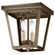 Flush Two Light Flush Mount in Dark Antique Brass (196|7324DABLT2CLR)