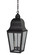 Imperial Two Light Hanging Lantern in Dark Brass (196|6412DBLT2CLR)