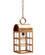 Adams One Light Hanging Lantern in Antique Brass (196|6142ABMEDCLR)